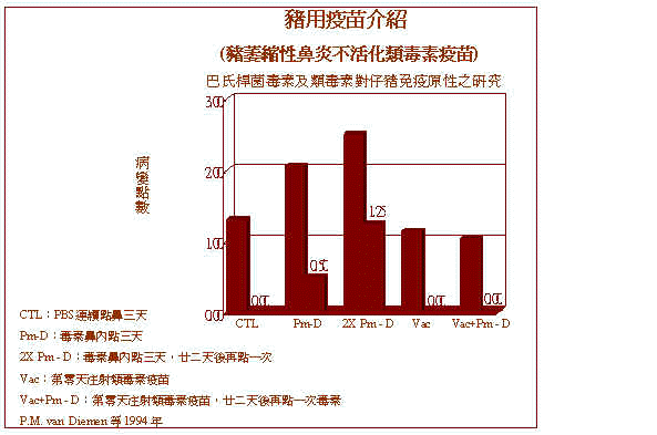 wpe12.jpg (30506 bytes)